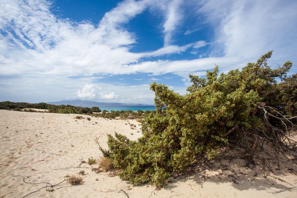 Villa Alyko Aliko Beach Eksteriør bilde