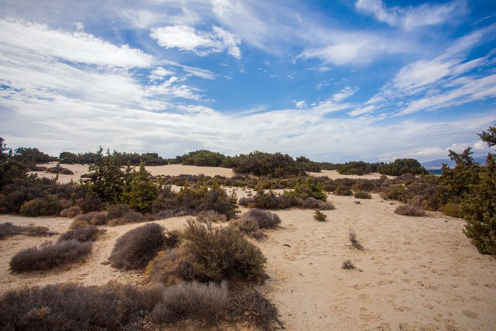 Villa Alyko Aliko Beach Eksteriør bilde