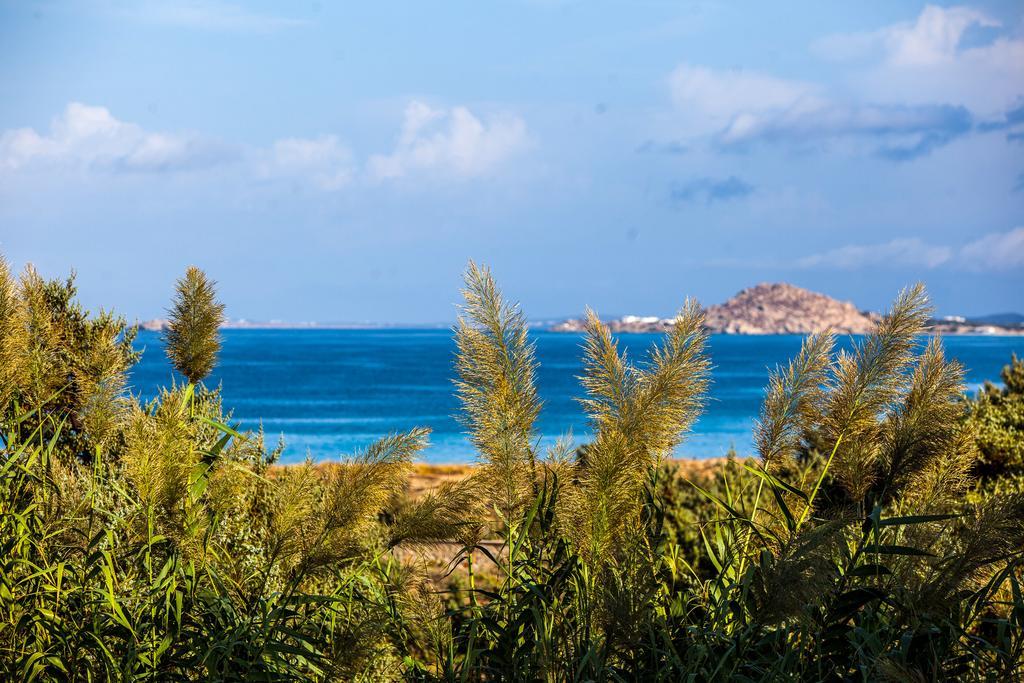 Villa Alyko Aliko Beach Eksteriør bilde