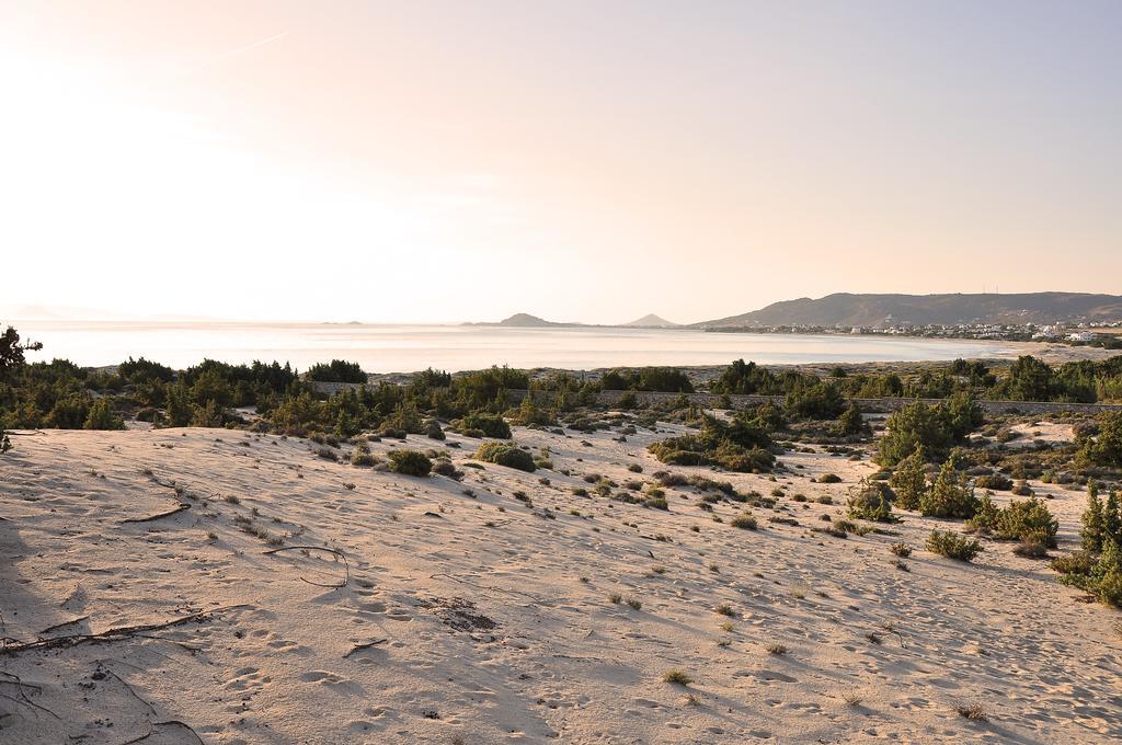 Villa Alyko Aliko Beach Eksteriør bilde